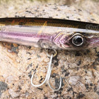 Flashy Shad FS