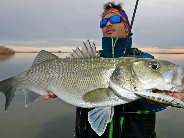 Fishus Lurenzo Espetit Bass Fishing Lures 9.5cm 10.5g