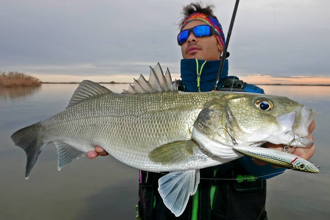 Fishus Lurenzo Espetit Fishing Lures 9.5cm 10.5g