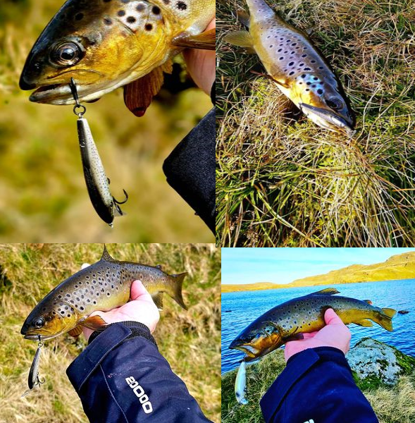 Fishus Lures Espetit Jerk SP Fishing Lure 55mm And 85mm Sizes