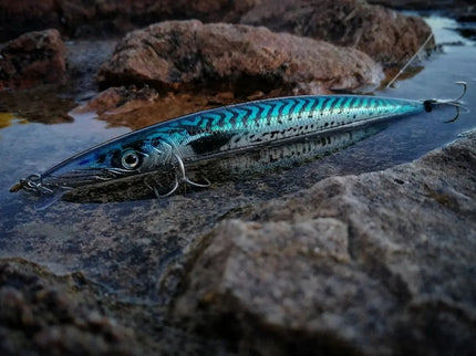 Fishus Lurenzo Espetron Long Minnow Fishing Lure 32g 185mm