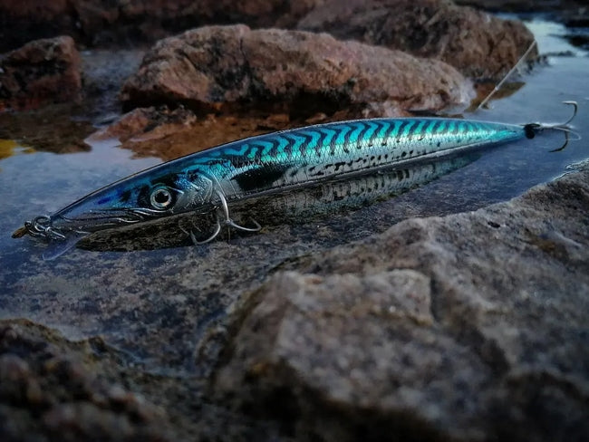 Fishus Lurenzo Espetron Long Minnow Fishing Lure 32g 185mm