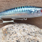 Mackerel