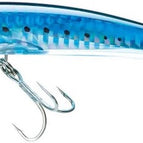 Sardine