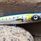 Sardine