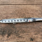 Barracuda