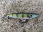 Perch MPE