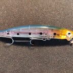 Sardine