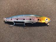 Sardine
