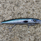 Mackerel