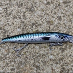 Mackerel