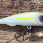 Sexy Shad