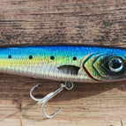 Sardine