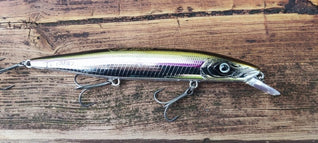 Flashy Shad