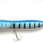 Blue Mackerel