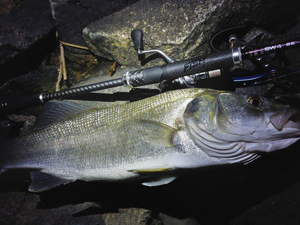 Fishus Lures SW4 8Ft 8