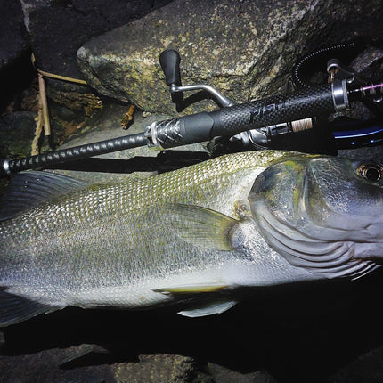 Fishus Lures SW4 8Ft 8" 7-28g Lure Fishing Rod
