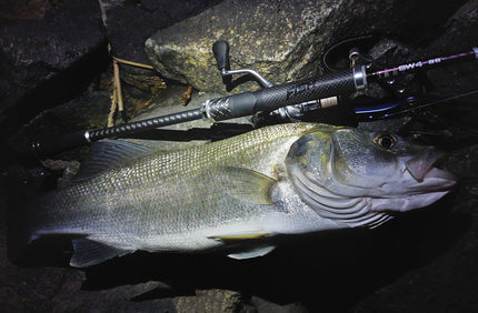 Fishus Lures SW4 8Ft 8