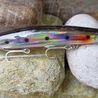 Silver Sardine