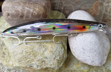 Silver Sardine