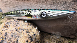 Mackerel